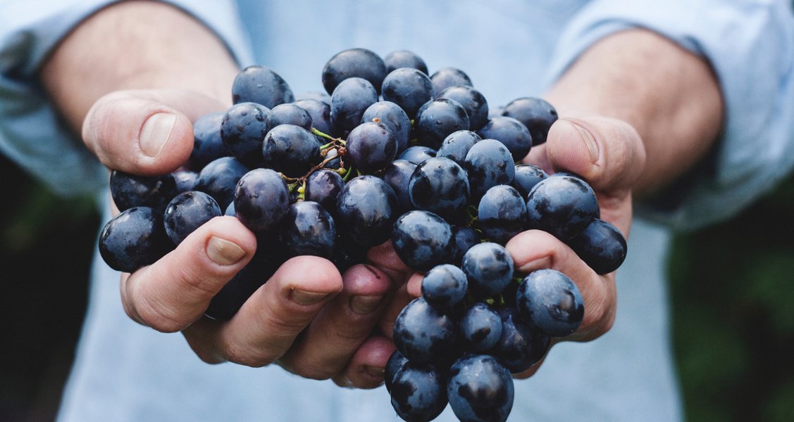 Organic, Biodynamic and Natural Wines… What’s the Difference?