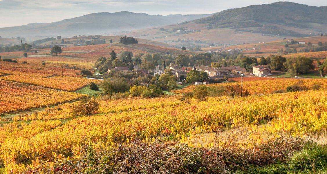 There’s more to Beaujolais than meets the eye