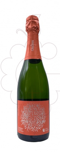 Cava Guilera Guilera Agosarat Gran Reserva Brut Nature 2006