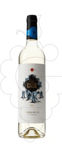 Can Rafols Dels Caus Petit Caus Blanc 2022