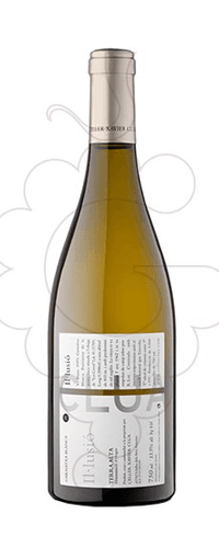 Celler Xavier Clua Clua Il·lusió 2022