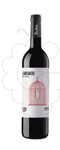 Caves Bolet Bolet Cantarelus Ecològic 2020