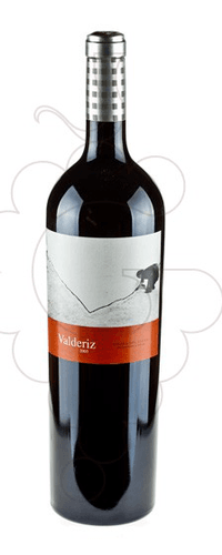 Bodegas Y Viñedos Valderiz Valderiz Magnum 2020