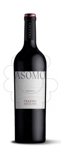 Viñedos Y Bodegas Garcia Figuero Figuero 4 Meses Roble 2021