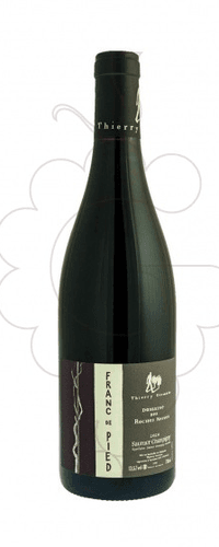 Thierry Germain-domaine Des Roches Neuves Roches Neuves Saumur Champigny Franc de Pied 2020