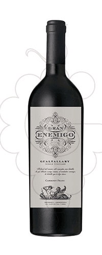 Bodega Aleanna Gran Énemigo Gualtallary Magnum 2018