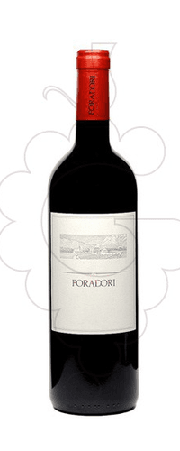 Azienda Agricola Elisabetta Foradori Foradori Teroldego 2019