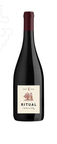Viñedos Veramonte Ritual Pinot Noir NV