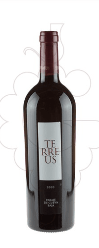 Bodegas Mauro Mauro Terreus Paraje de Cueva Baja Magnum 2021