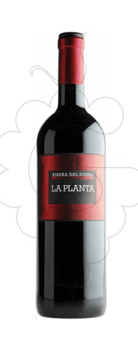 Bodegas Arzuaga Navarro Arzuaga La Planta Magnum 2018