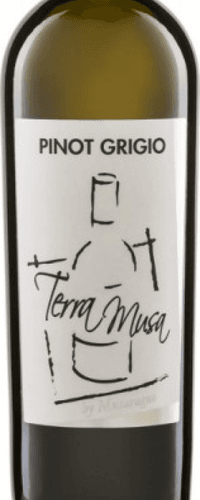 Pinot Grigio Venezia - 2019 - 1 x 0,75 lt. -  Terra Musa di Moreno Musaragno