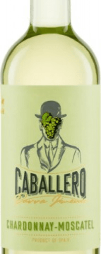 CABALLERO PARRA JIMÉNEZ Blanco Chardonnay-Moscatel - 2020 - 1 x 0,75 lt. -  Bodegas Irjimpa