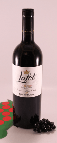 Cabernet Sauvigon Riserva Lafot - 2019 - vine cellar Nals-Margreid