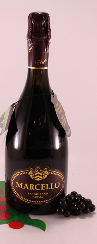 Lambrusco Marcello Gran Cru - winery Ariola