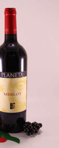 Merlot - 2005 - Winery Planeta