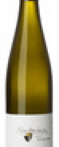 Riesling Nackenheim trocken - 2019 - Gunderloch