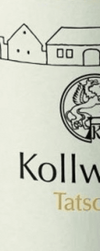 Kollwentz Chardonnay Ried Tatschler Burgenland - 2018