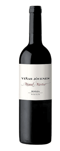 Miguel Merino Viñas Jóvenes 2020