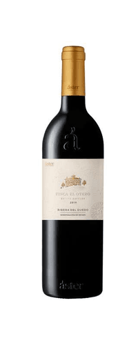 Áster Finca El Otero 2019