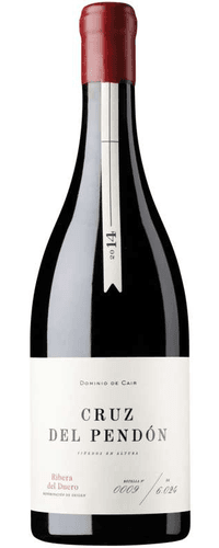 Cruz del Pendón 2014