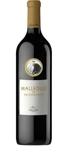 Malleolus de Valderramiro 2015
