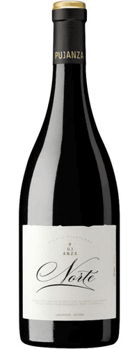 Pujanza Norte Magnum 2016