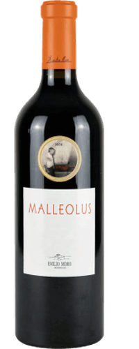 Malleolus 2016