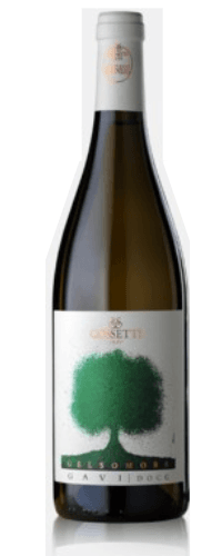 Cossetti Gelsomora Gavi 2019