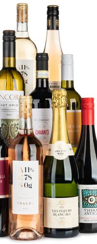 Keto Wine Case - 9