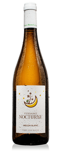 Melon Blanc Vendage Nocturne
