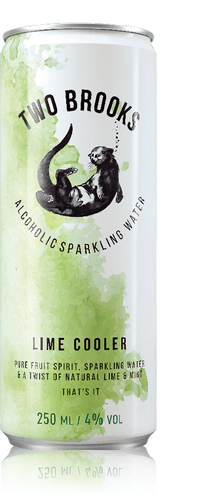 Two Brooks Lime Cooler Hard Seltzer