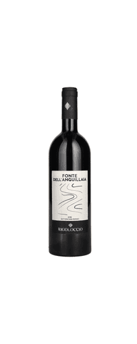 Rigoloccio FONTE DELL'ANGUILLAIA Toscana Rosso IGT 2018 13,5% Vol. 0,75l