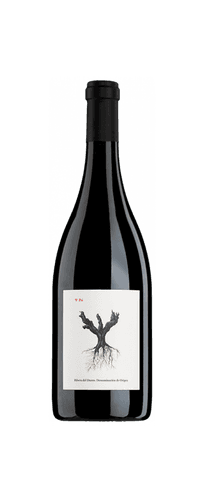 2022 Ribera del Duero 'PSI' Dominio di Pingu Bodega Y Vinedos Alnardo