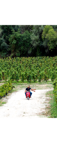 Zisola Wine & Food Experience