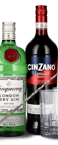 Negroni Master Set [with glasses, 2 pcs]
