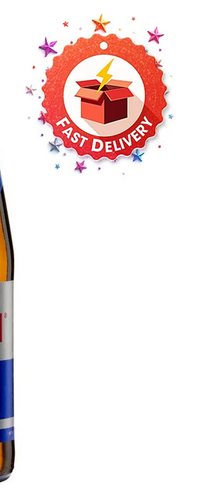 Red Bull Energy Drink Glass bottle 10x0,25l