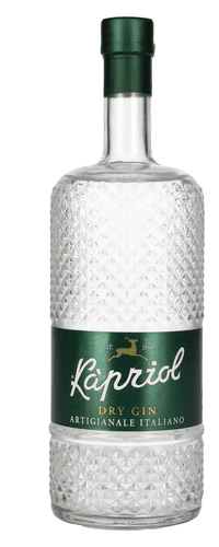 Kapriol DRY Gin Artigianale Italiano 41,7% Vol. 0,7l