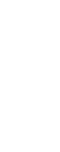 Bellini Distillati Liquore Crema Perzik 0,50 ltr 17%
