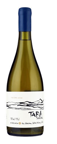Ventisquero Tara Premium Chardonnay -Atacama Valley 0,75 ltr 12,5%