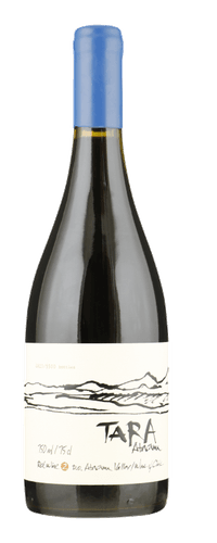 Ventisquero Tara Premium Syrah -Atacama Valley 0,75 ltr 12,5%