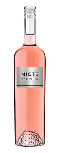 Avelino Vegas Nicte Rosa Pálido 2024