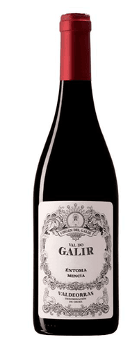 Bodegas Virgen del Galir Val do Galir Mencía 2022
