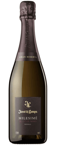 Juvé y Camps Juvé & Camps Milesimé Blanc de Noirs 2020