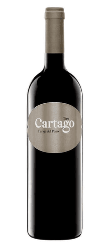 Maurodos Cartago 2019