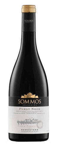 Bodega SOMMOS Sommos Colección Pinot Noir 2024