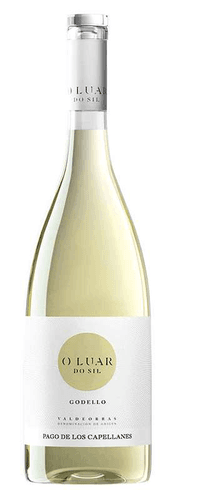 Pago De Los Capellanes O Luar Do Sil Godello Magnum 2023