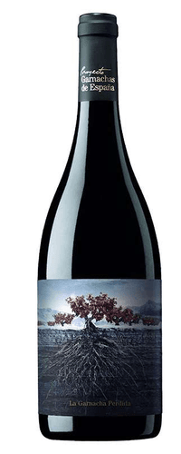 Proyecto Garnachas La Garnacha Perdida del Pirineo 2021