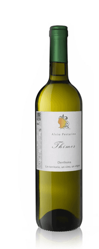 Alvio Pestarino Thimos Derthona 2021