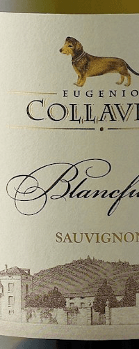 Blanc Fumat’ Sauvignon Bianco, Collavini 2019