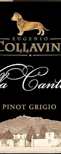 Pinot Grigio ‘Villa Canlungo’, Collavini 2019